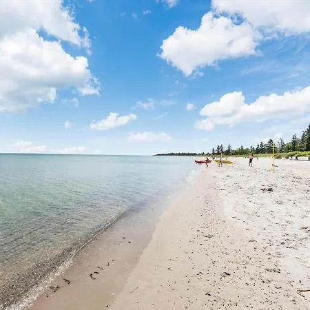 30493-odder-snekkeager-21 * Odder